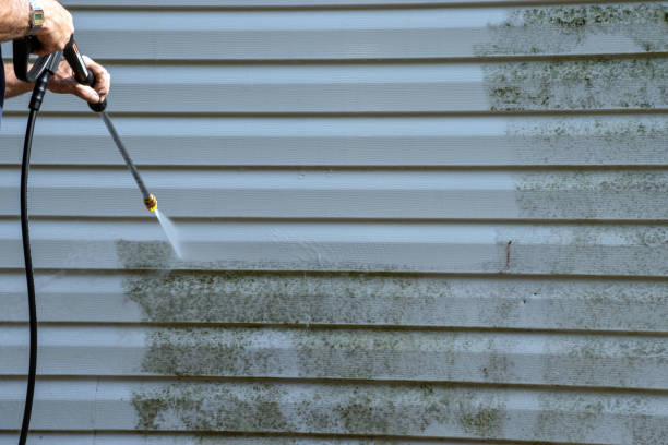 Best Hoarding Cleanup  in Bayside, WI